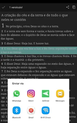 Bíblia Sagrada android App screenshot 8